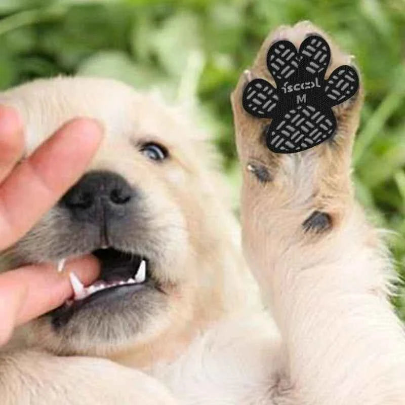 Dog Anti-Slip Paw Protector Pads – Waterproof Self-Adhesive Booties for Dogs & Cats