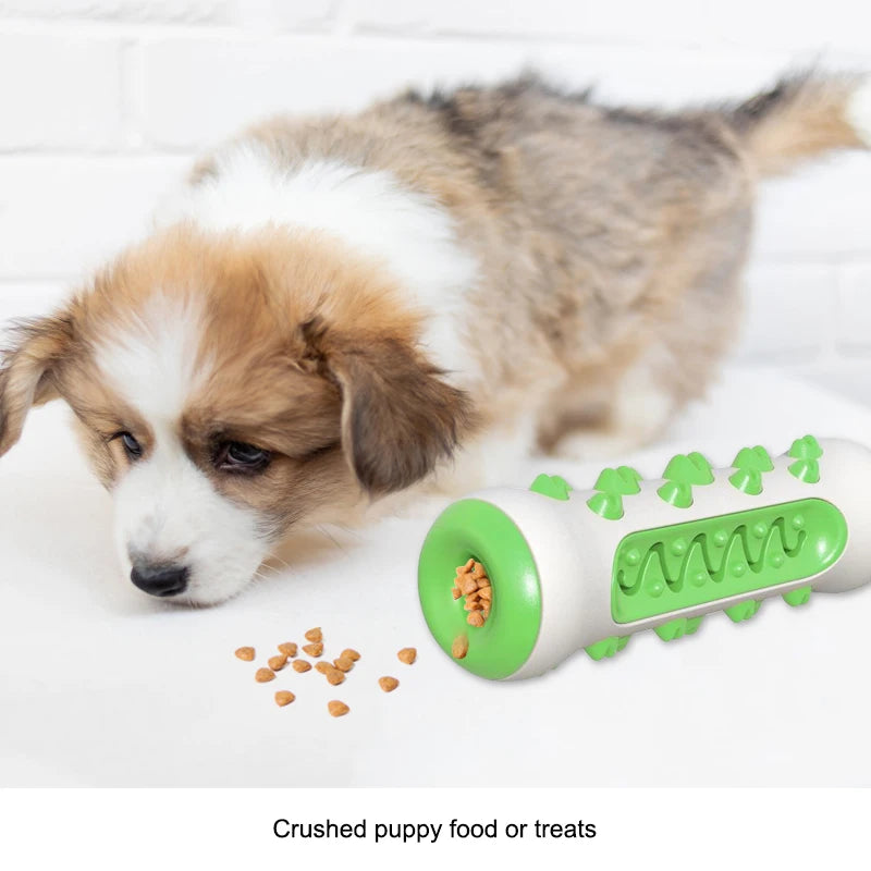 Dog Dental Chew Toy – Molar Toothbrush for Puppy Teeth Cleaning