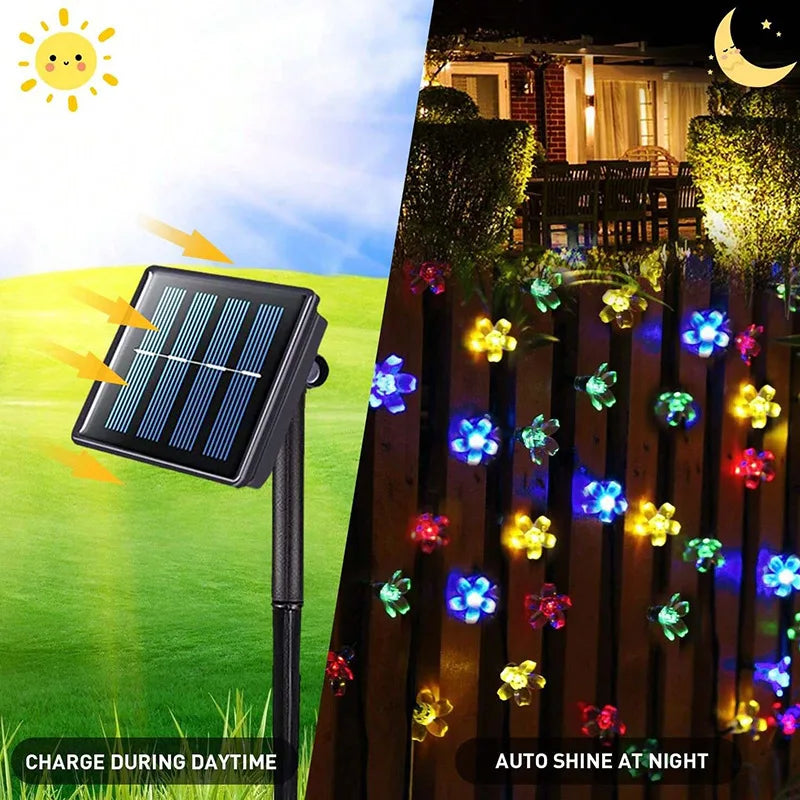 Solar Cherry Blossom LED String Lights – Outdoor Garland for Garden, Patio, Christmas & Wedding - Dripshop